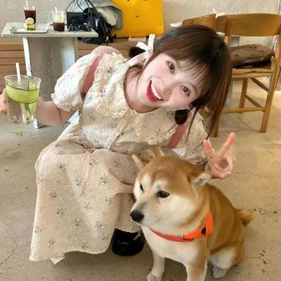 爹地拍档