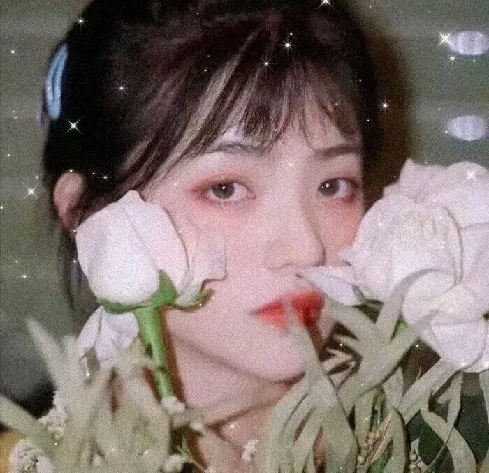十字剑第一季
